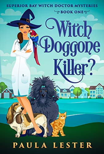 Superior Bay Witch book cover 1
