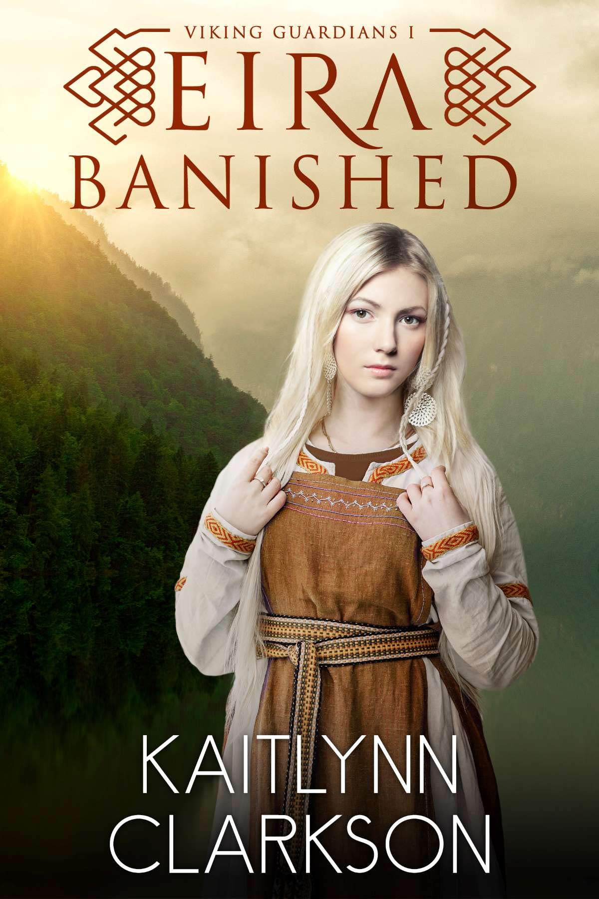 Viking Guardians book cover 1