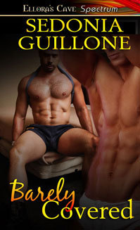 Barely book cover 1