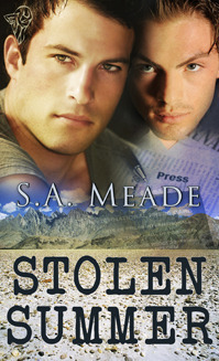 Stolen Summer book cover