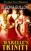 Heart of a Vampire book cover 1