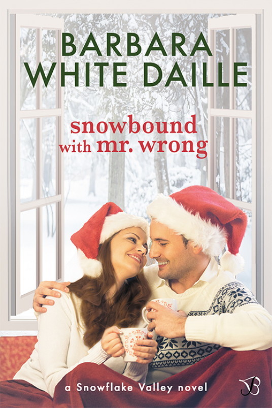 Snowflake Valley book cover 1