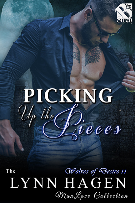 Picking Up the Pieces book cover