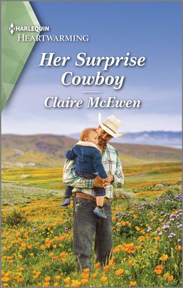 Heroes of Shelter Creek book cover 3