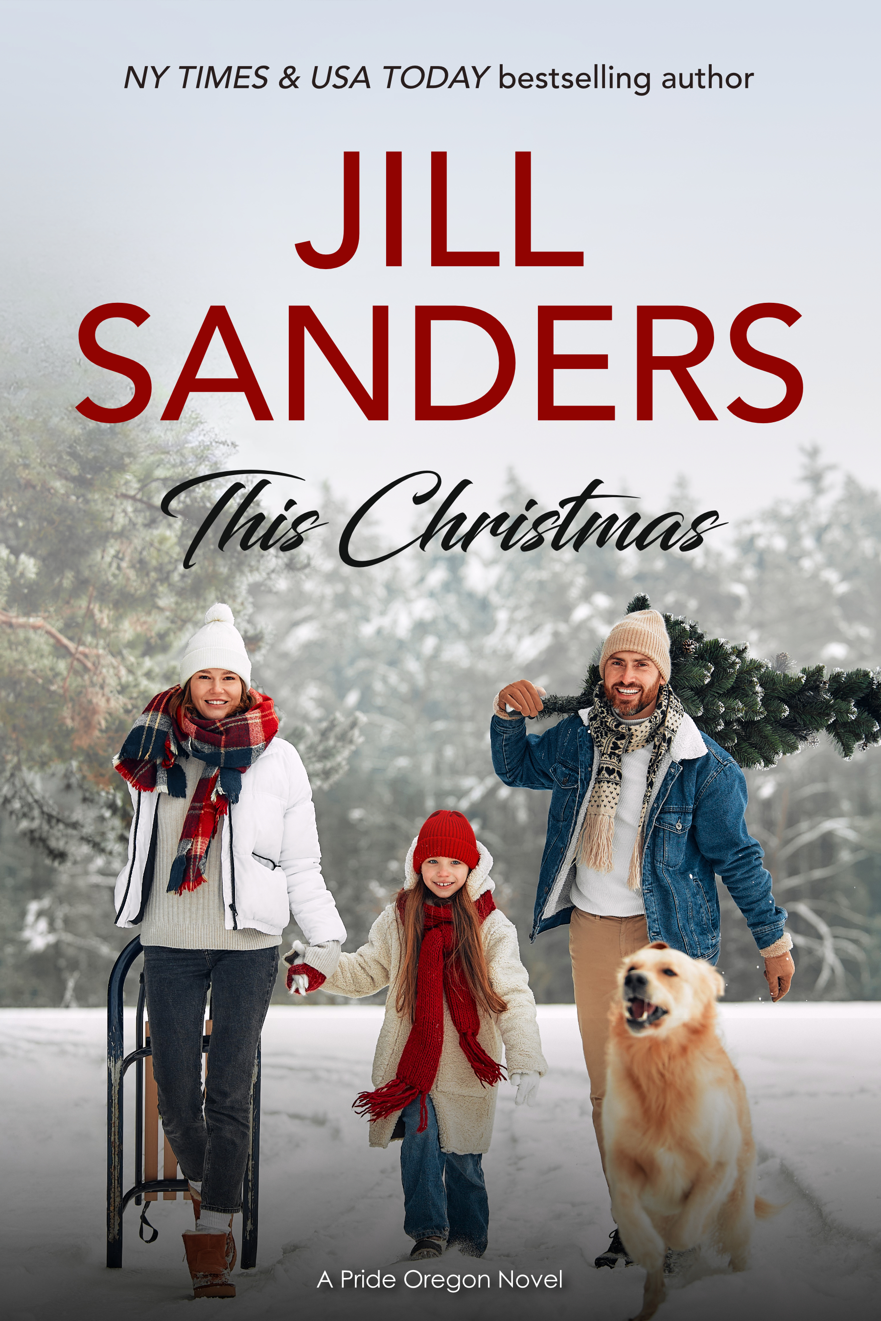 This Christmas book cover