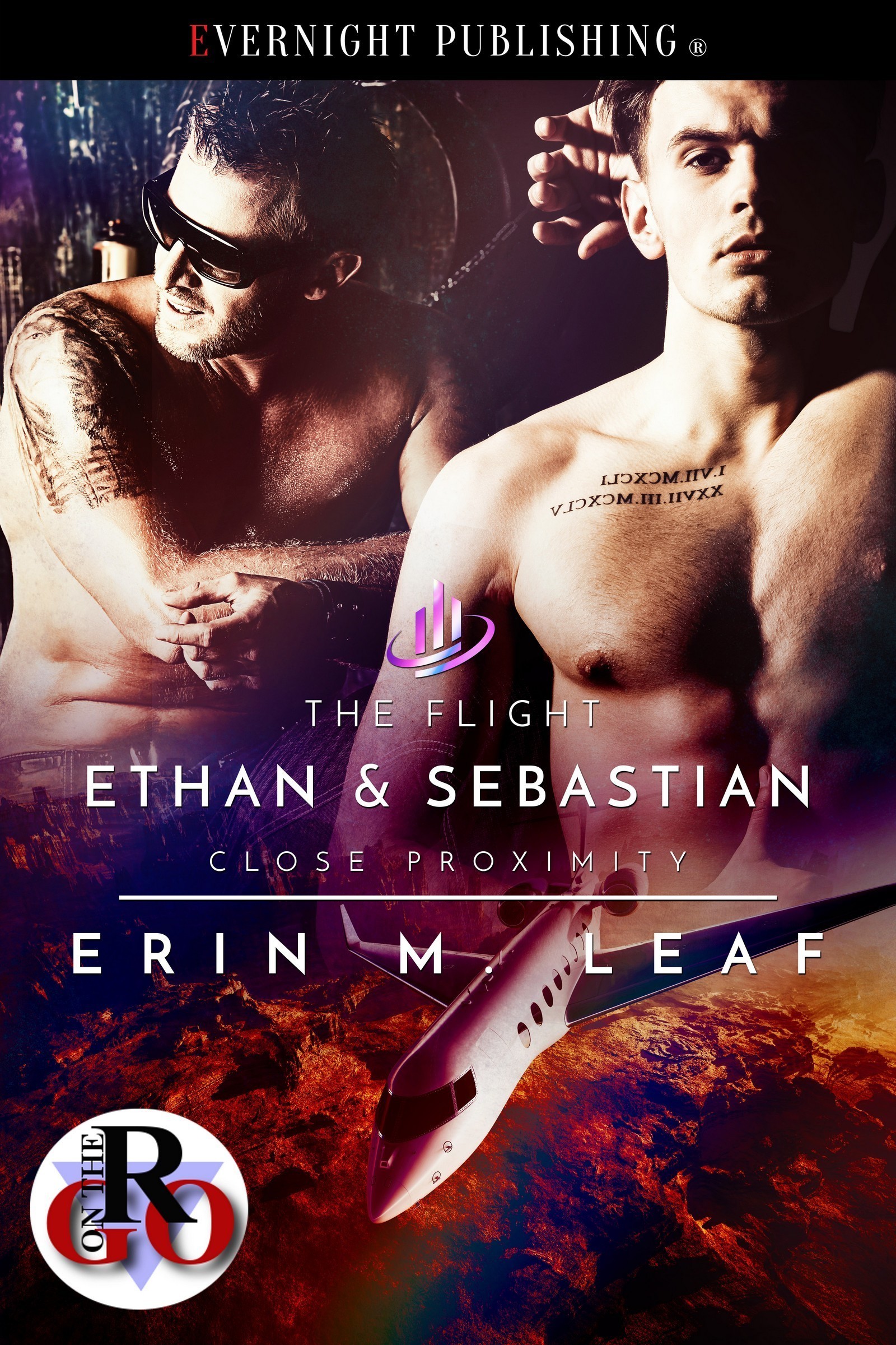 The Flight book cover