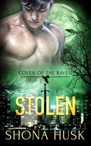 Stolen book cover