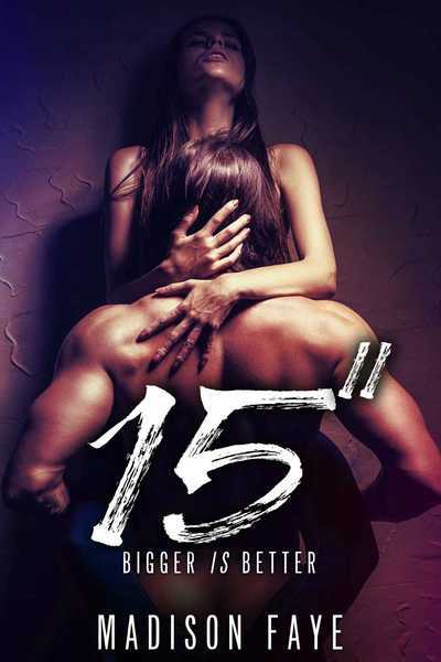 Fifteen Inches book cover
