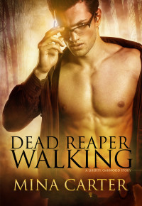 Hellsgate book cover 2