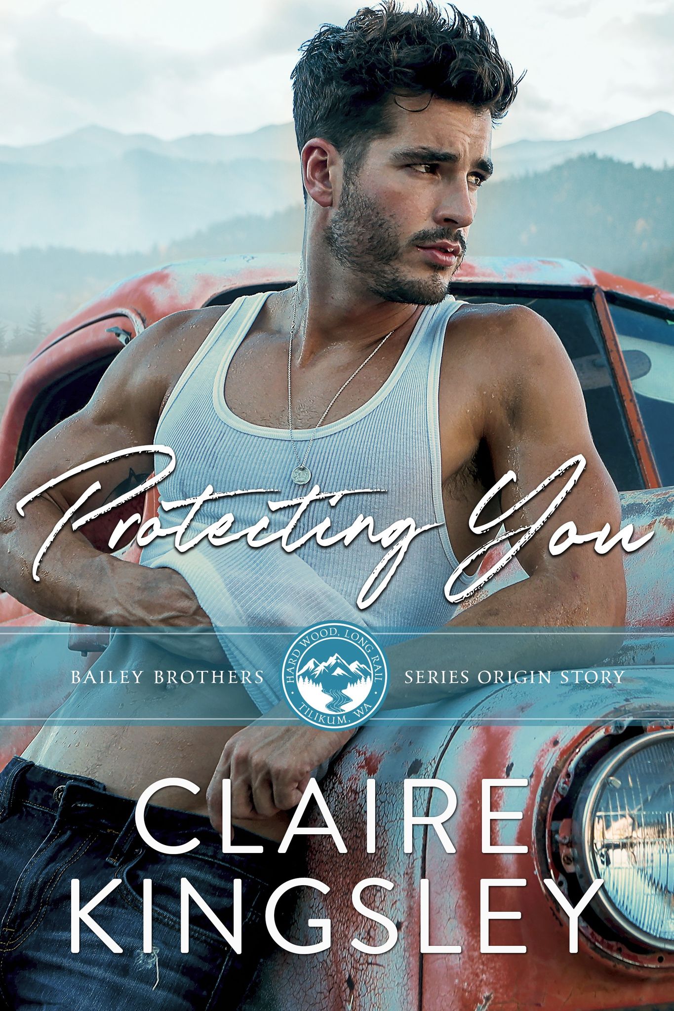 Bailey Brothers book cover 1
