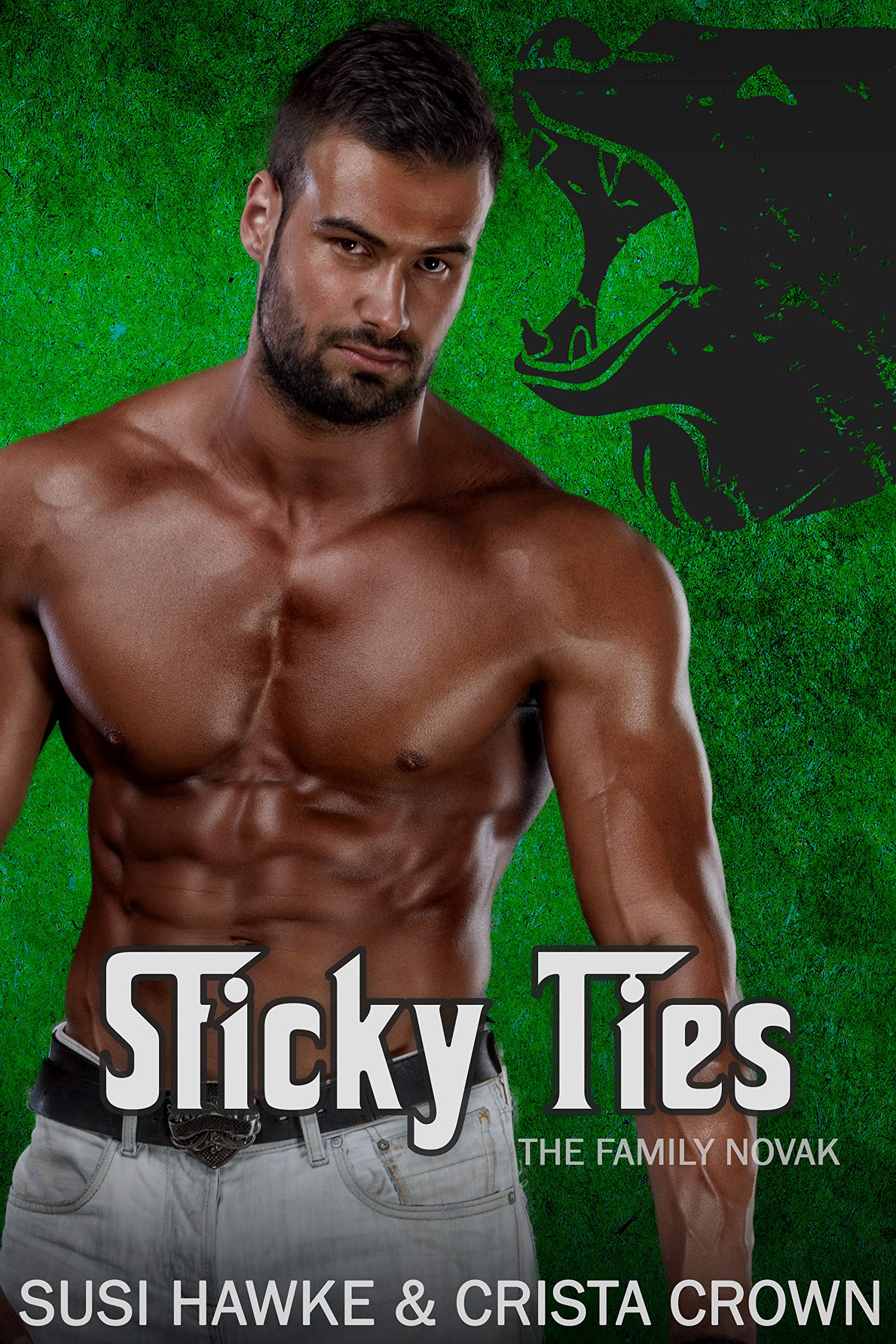 Sticky Ties book cover