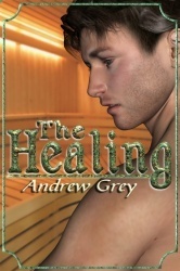 The Healing book cover