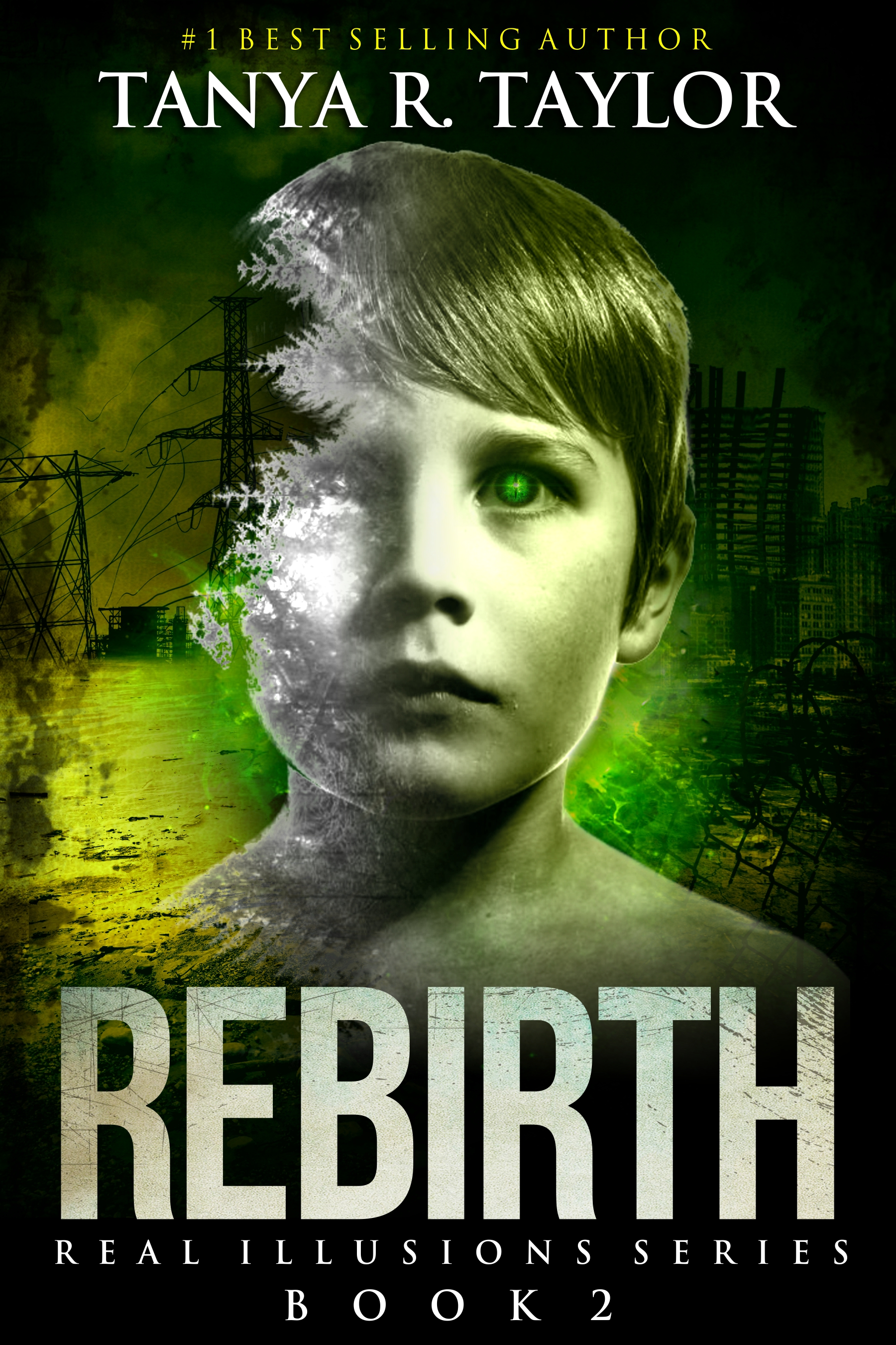 Real Illusions book cover 2
