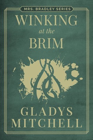 Winking at the Brim book cover