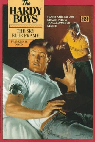 Sky Blue Frame book cover