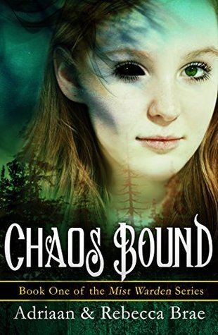 Mist Warden book cover 1