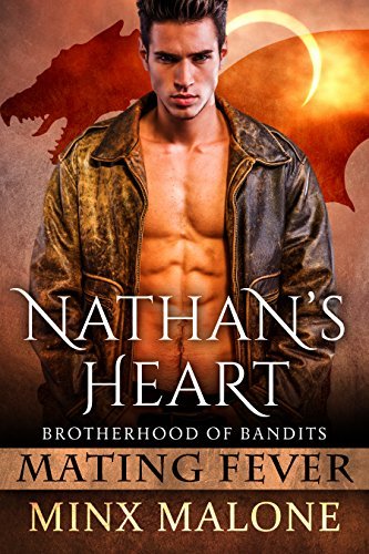 Nathan's Heart book cover