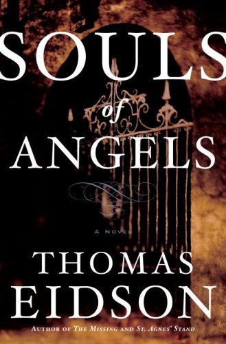 Souls of Angels book cover