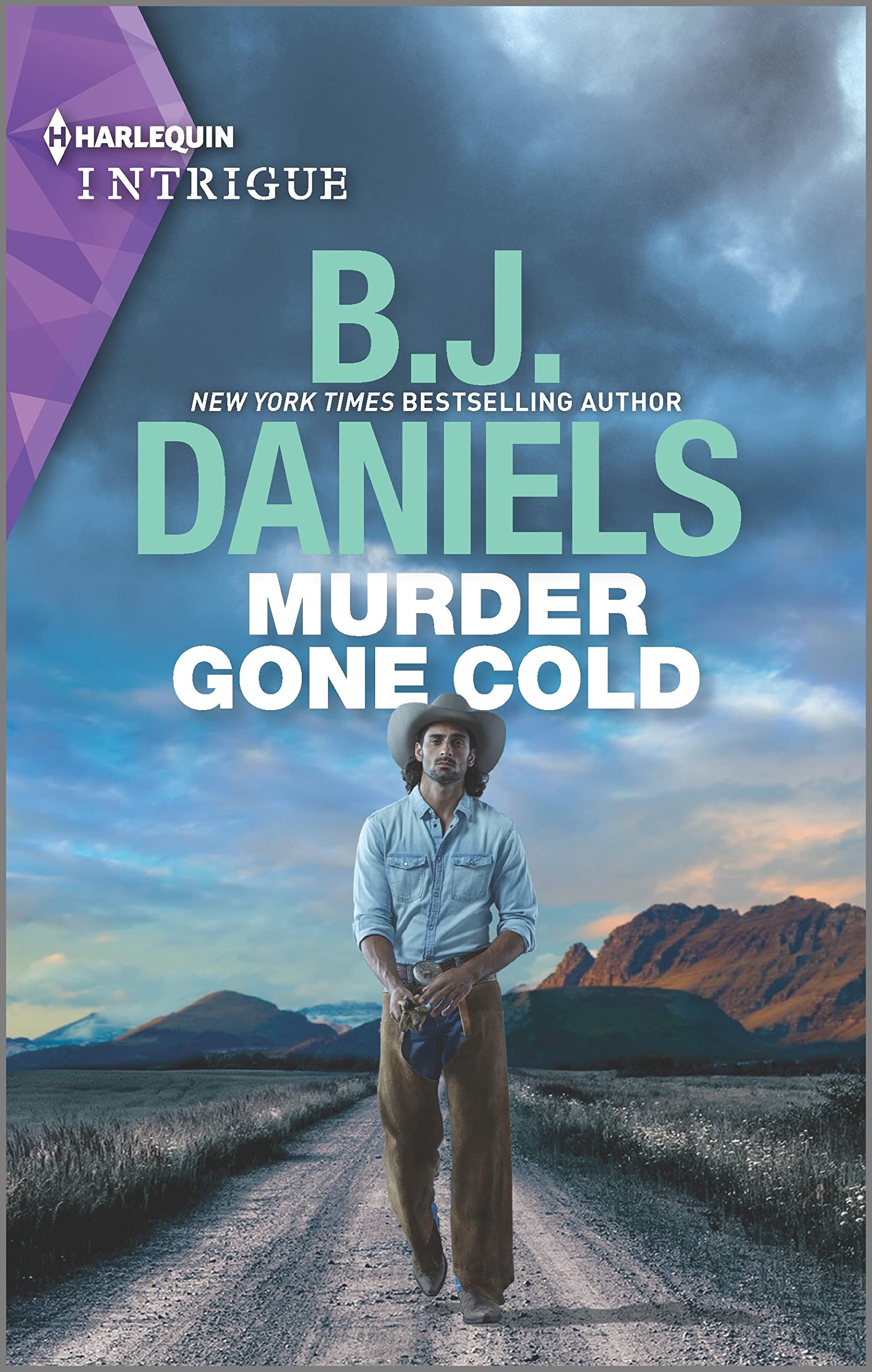 Colt Brothers Investigation book cover 1