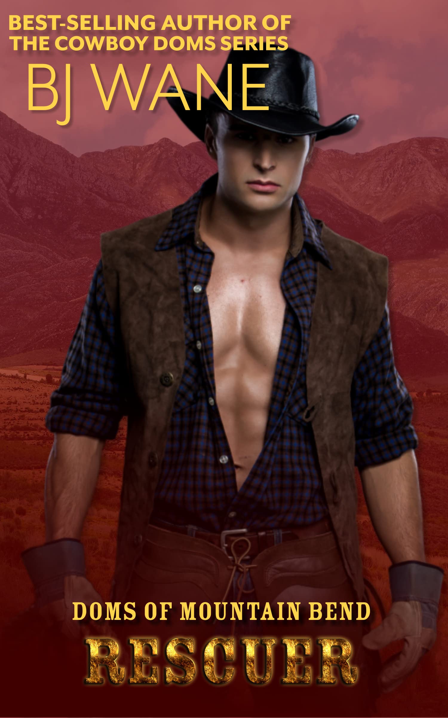 Rescuer book cover