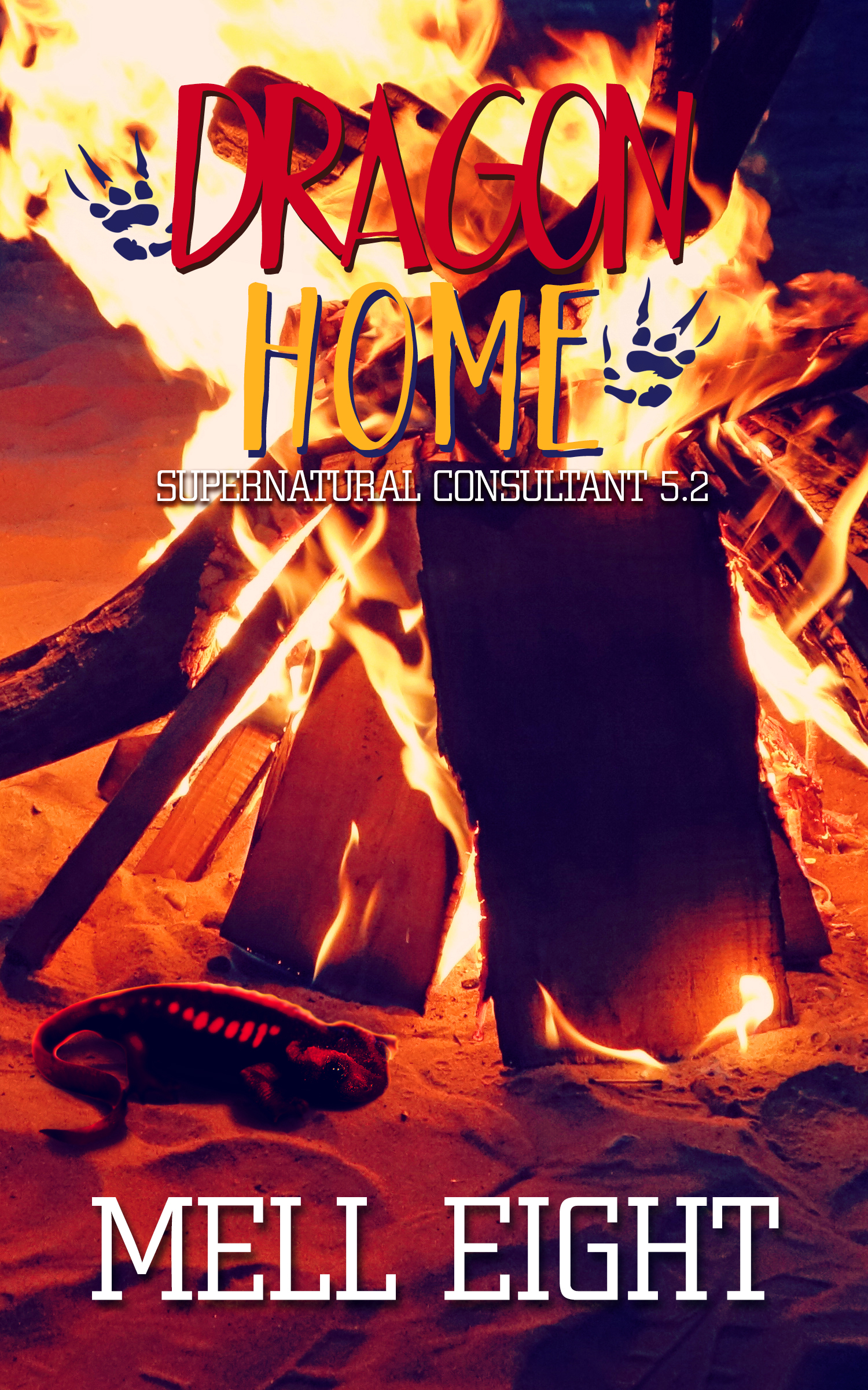 Dragon Home book cover