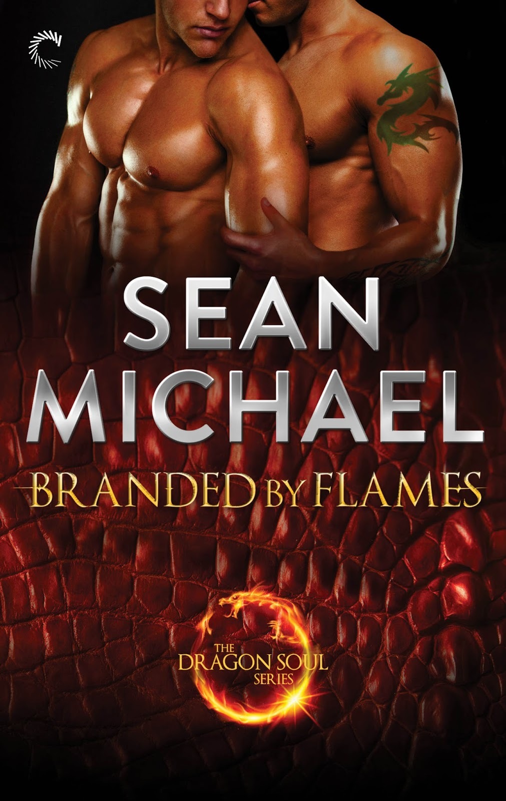 Dragon Soul book cover 1