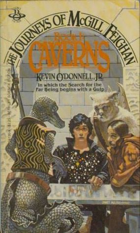 The Journeys of McGill Feighan book cover 1