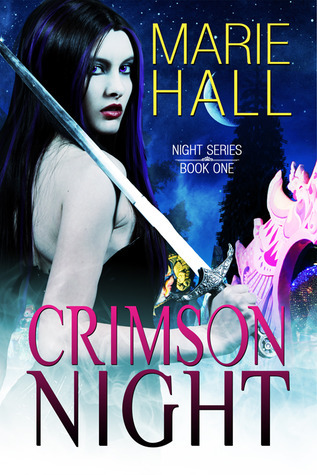 Night book cover 1