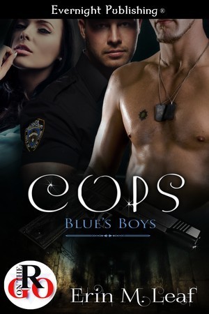 Blue's Boys book cover 2