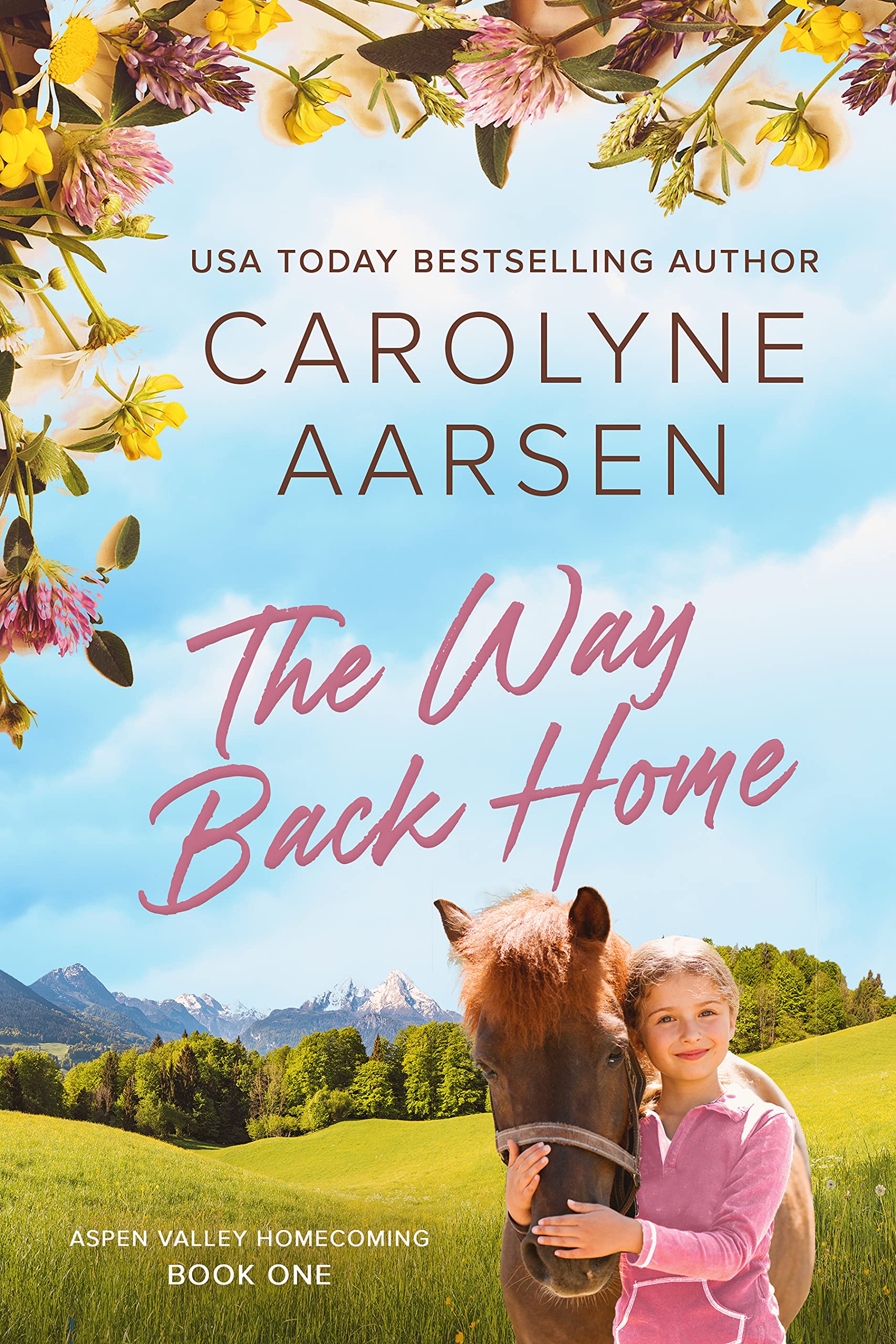 Aspen Valley Homecoming book cover 1