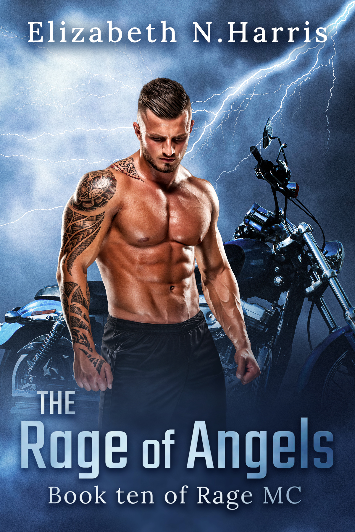 The Range of Angels book cover