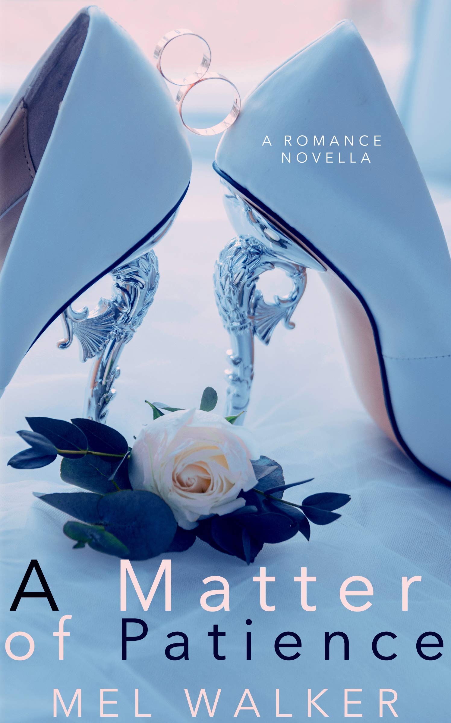 A Matter of Patience book cover
