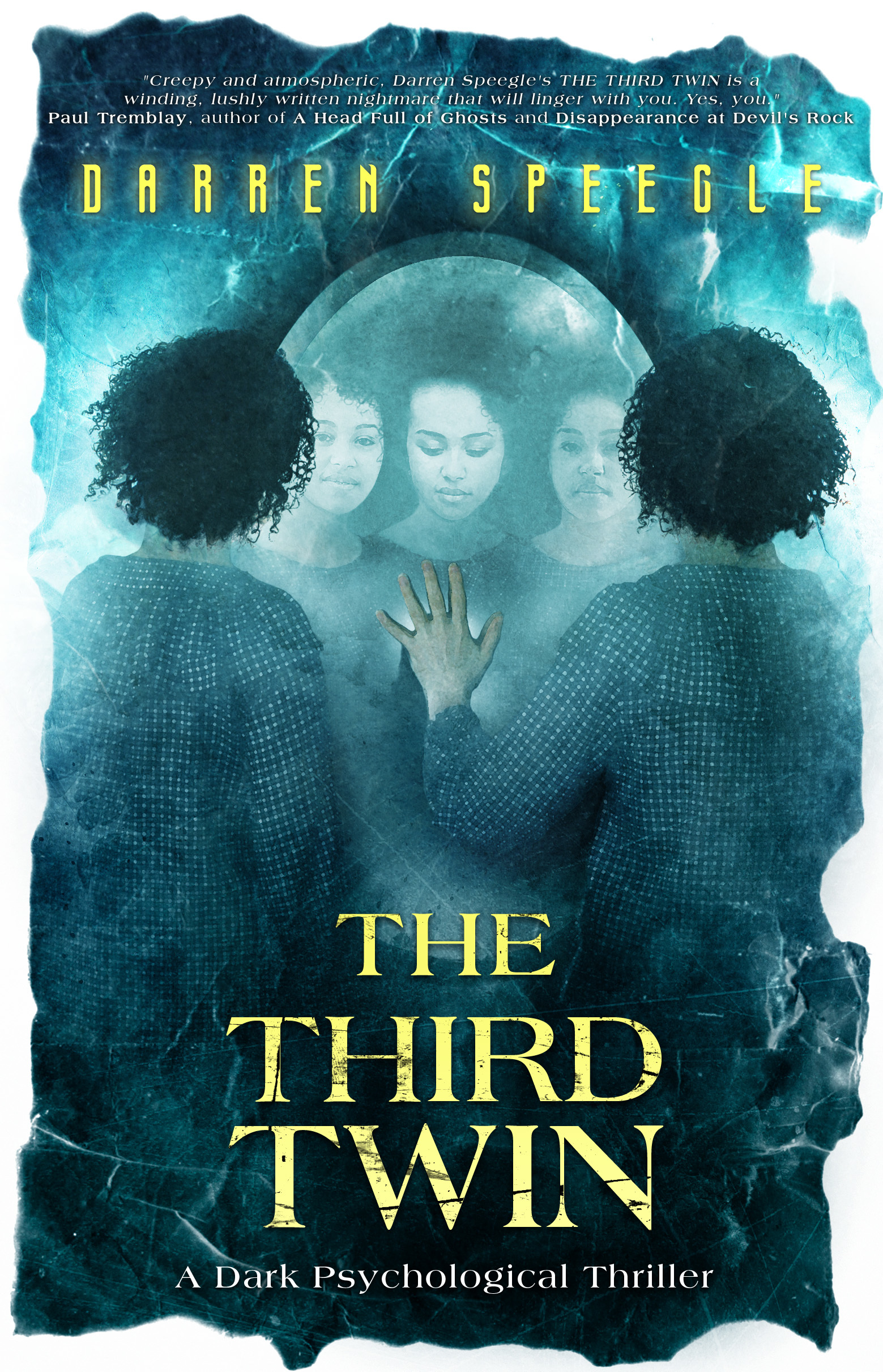 The Third Twin book cover