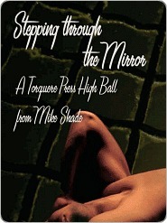 Stepping Through the Mirror book cover