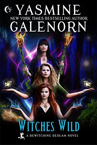 Witches Wild book cover