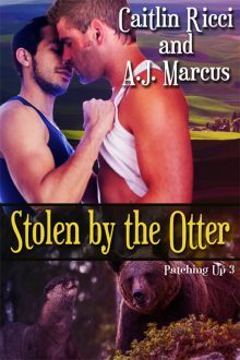 Patching Up book cover 3