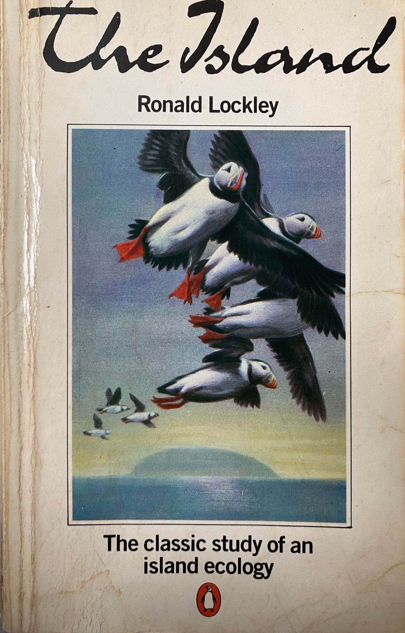 The island book cover