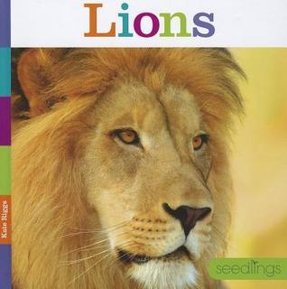 Lions book cover