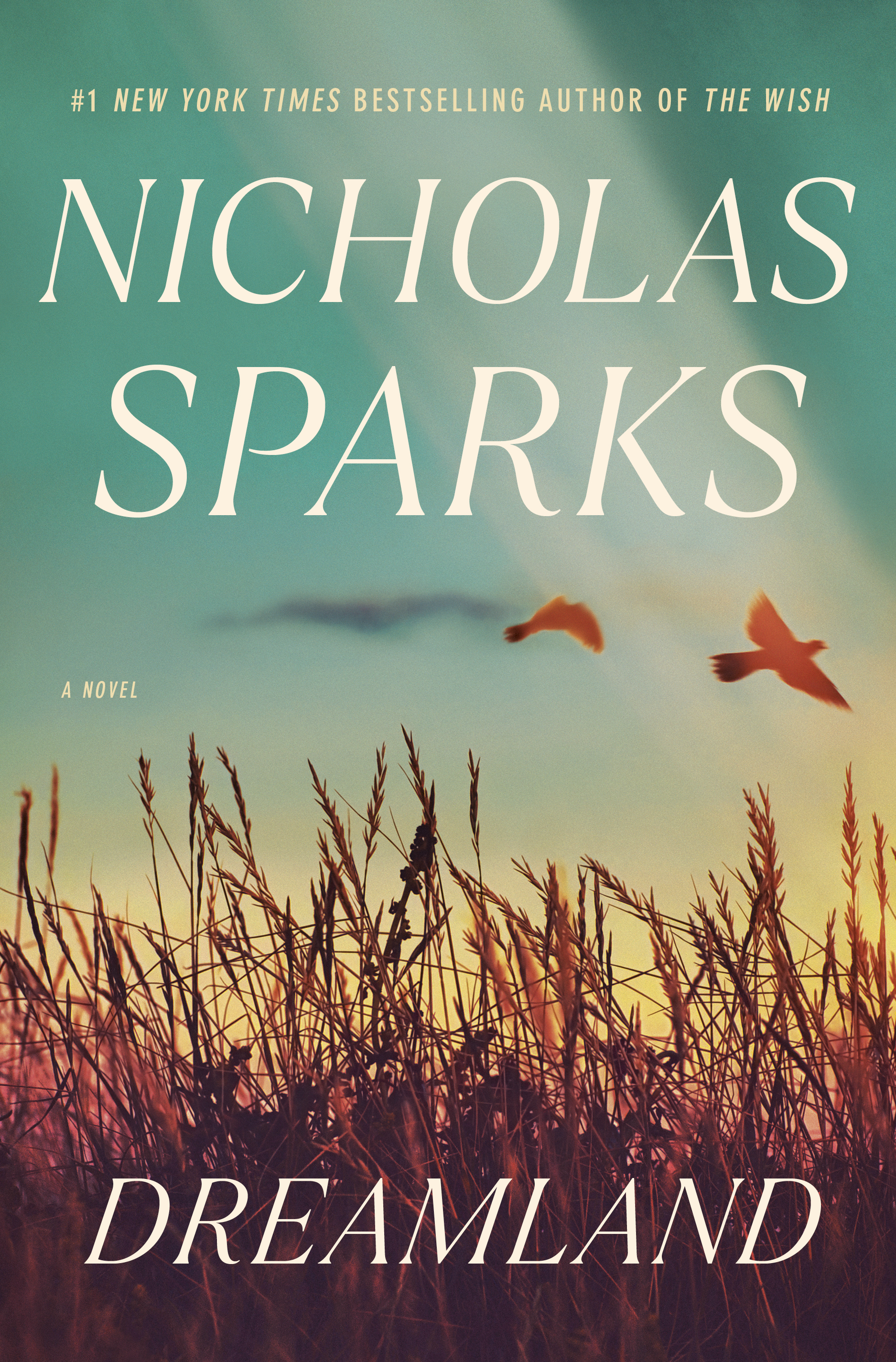 Dreamland book cover