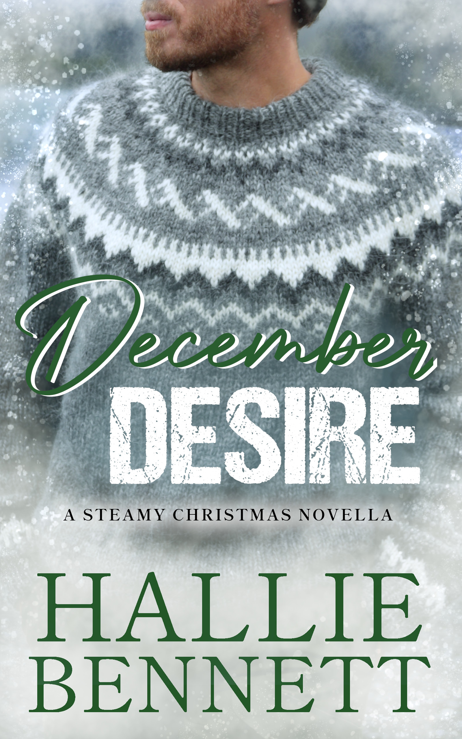 Christmas & Curves book cover 2