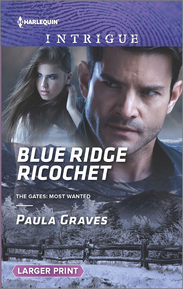 The Gates: Most Wanted book cover 2