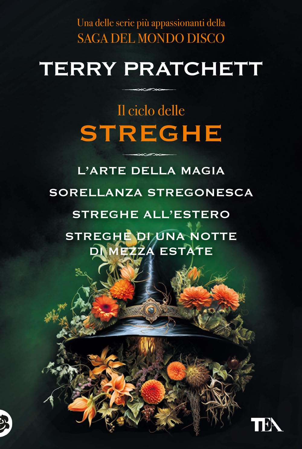 Il ciclo delle streghe book cover