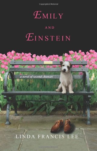 Emily and Einstein book cover