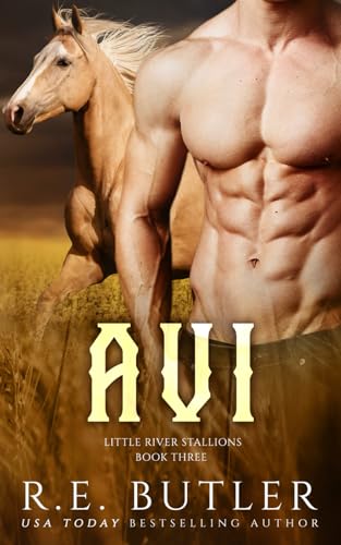 Little River Stallions book cover 1