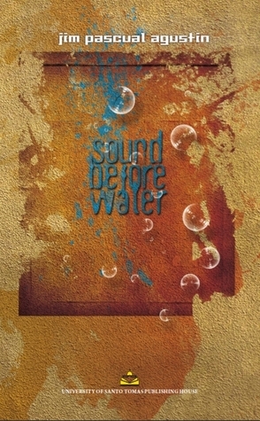 Sound Before Water book cover