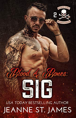 Blood Fury MC book cover 2