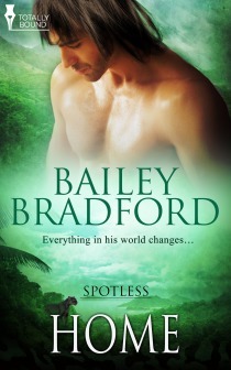 Spotless book cover 3