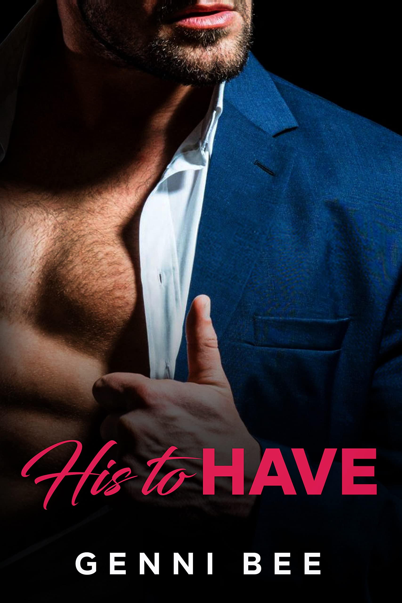 His to Have book cover