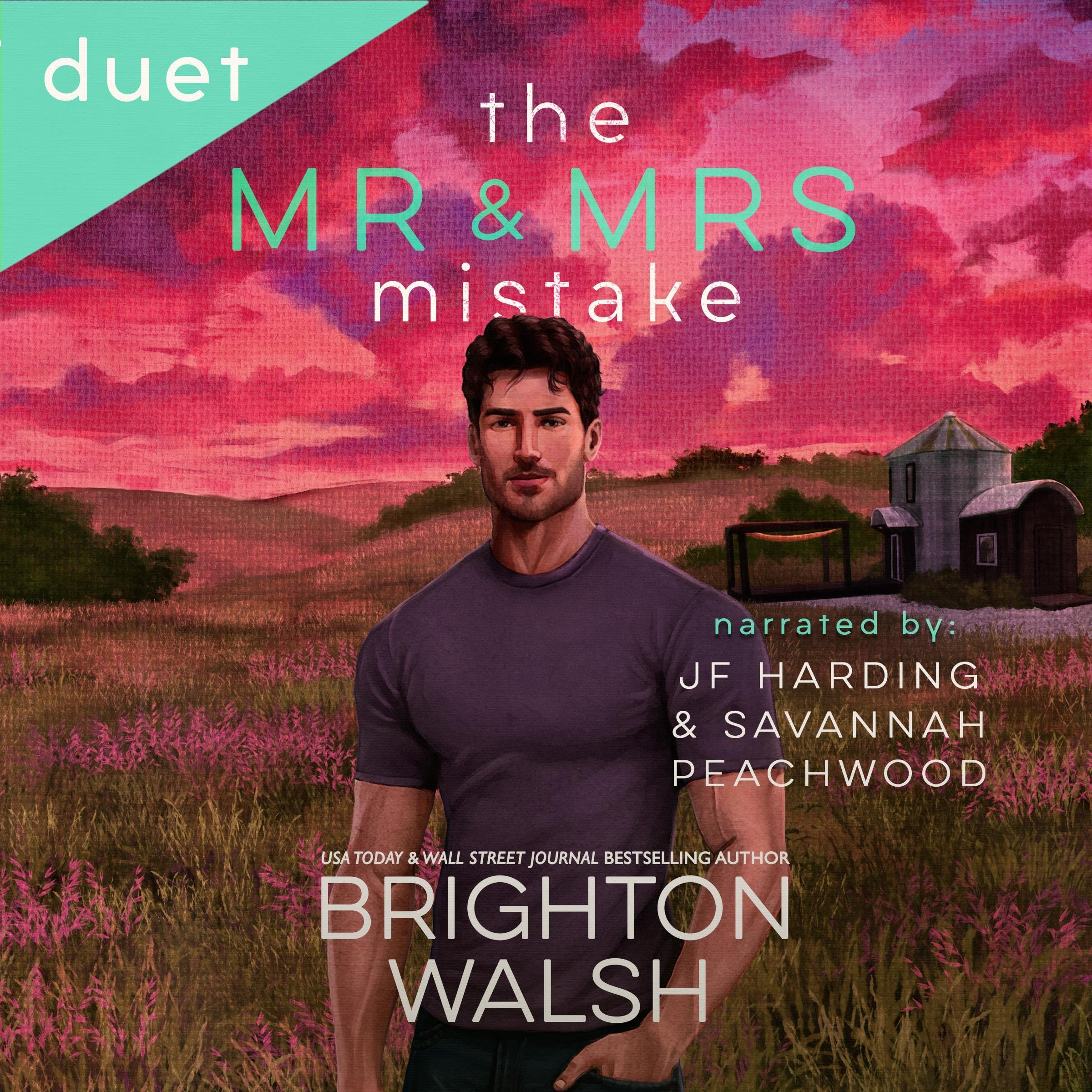 The Mr and Mrs Mistake book cover