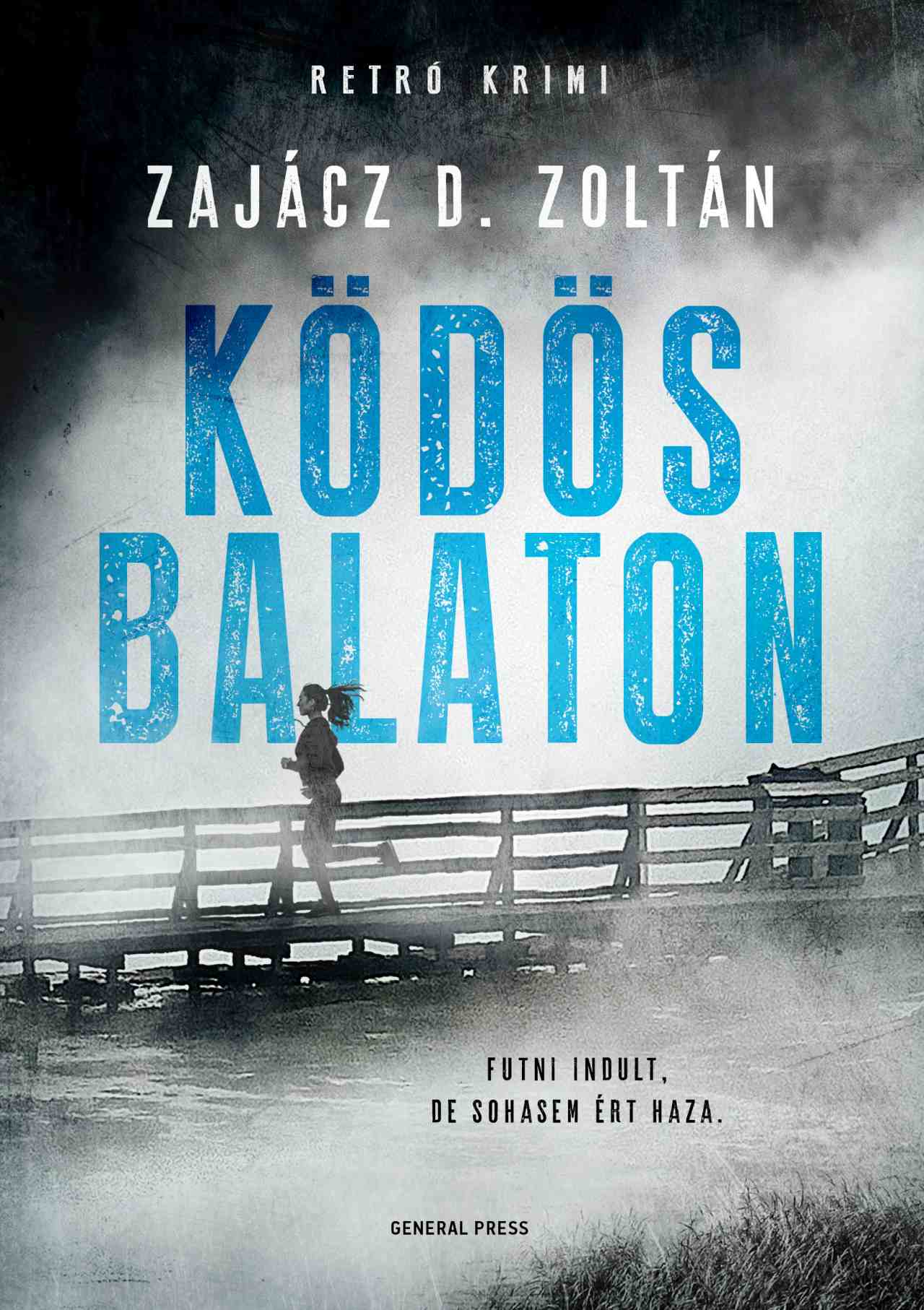 Ködös ​Balaton book cover